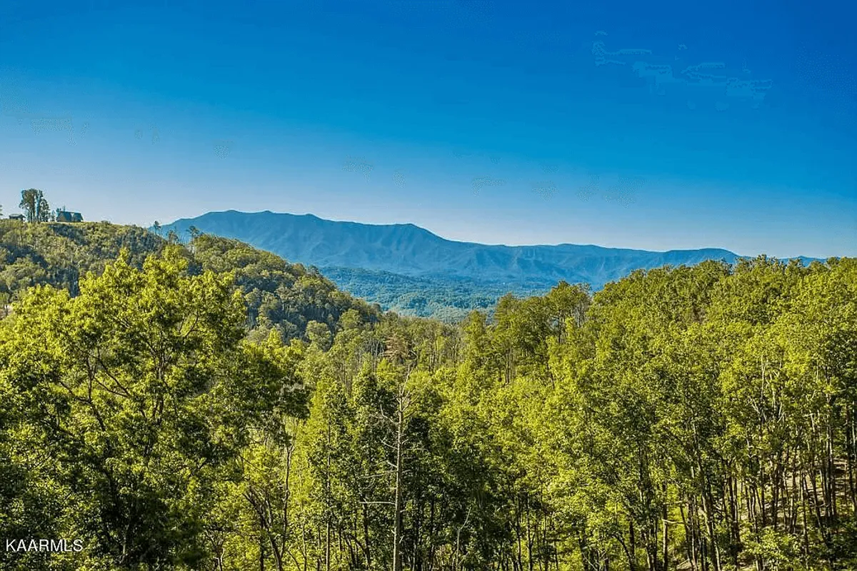 A panoramic view of a mountain range surrounded by dense forests and under a clear blue sky. The tranquil atmosphere invites activities like hiking, nature photography, and bird watching—highlighting the area's natural splendor and the possibilities for exploration beyond the cabin.