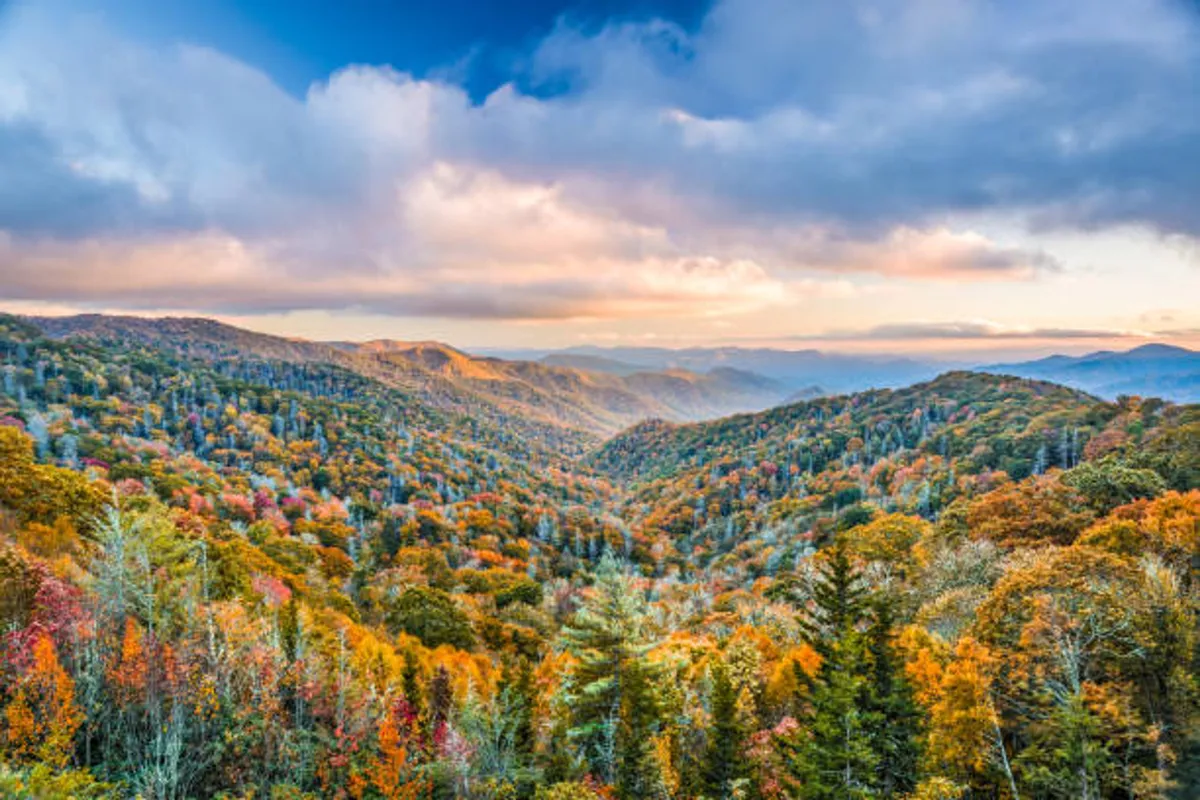 A sweeping view of rolling hills blanketed in vibrant autumn foliage, with distant mountains rising under an expansive sky. The scene evokes the heart of the Smoky Mountains experience, ideal for hiking, wildlife photography, and moments of peaceful contemplation in nature.